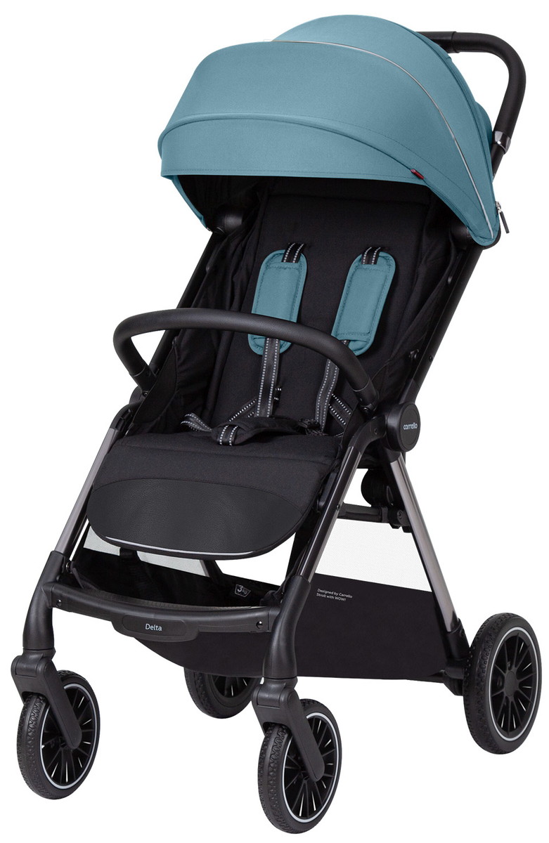 Прогулочная коляска Carrello Delta CRL-5517 Sky Blue