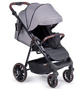 Детская прогулочная коляска Coletto Dizzi Steel