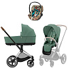 Leaf Green