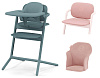 Stone Blue/Pearl Pink