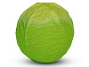 L-BALL-GREEN-CABBAGE